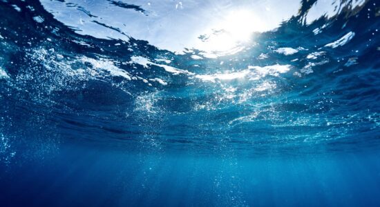 Clean water - underwater view you look through the water surface into the sky